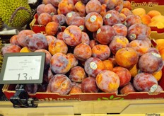 US plum for sale at retailer 3hrsixty in Hong Kong. Sam Sin from Freco Int. Hong Kong, who are importers from around the world, showed Vietnam exporters from Central Retail retail and Thailand importer the local retail setup. They are looking at what is in season now and on display for them to export to Hong Kong.